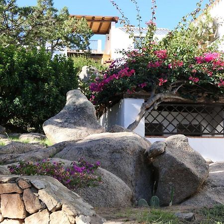 Residence Con Piscina A Liscia Di Vacca, 350 Mt Dal Mare, 3 Km Da Porto Cervo Экстерьер фото